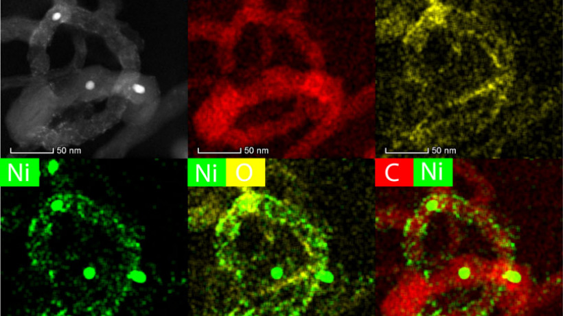 Electrophoretically deposited NiOx decorated carbon nanotubes