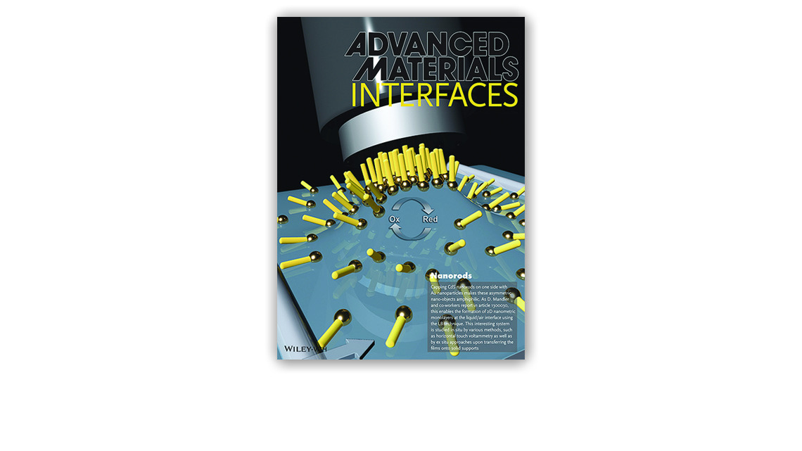 Nanorods: Perpendicular Orientation of Anisotropic Au-Tipped CdS Nanorods at the Air/Water Interface
