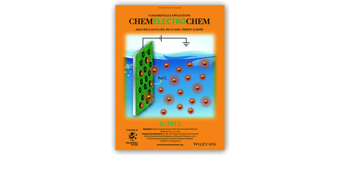 Nanoparticle-Imprinted Polymers: Shell-Selective Recognition of Au Nanoparticles by Imprinting Using the Langmuir–Blodgett Method