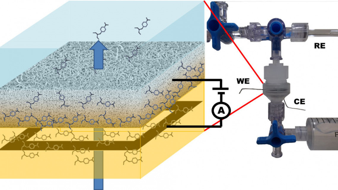 Detection of organic pollutants by flow-through carbon nanotubes electrochemical sensor